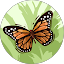 Nadifa Nuur Avatar